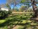 Large green backyard with plenty of open space and mature trees at 39813 Melrose Ave, Zephyrhills, FL 33540