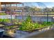 Close up view of the garden with rows of raised beds and various plants on a bright, sunny day at 808 Old Welcome Rd, Lithia, FL 33547