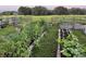 View of the vegetable garden with plentiful raised garden beds and new crops at 808 Old Welcome Rd, Lithia, FL 33547