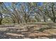 An aerial view of a large property with lots of mature trees at 808 Old Welcome Rd, Lithia, FL 33547
