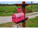 A decorative mailbox with a sign reading '808 Old Welcome' sits near the property entrance at 808 Old Welcome Rd, Lithia, FL 33547