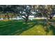 Lush backyard with mature trees and Spanish moss, offering serene views of the nearby water at 8261 Ivy Stark Blvd, Wesley Chapel, FL 33545