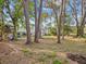 Enjoy the privacy of this expansive backyard with mature trees, offering a tranquil retreat at 8693 15Th N St, St Petersburg, FL 33702