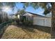 View of the backyard with partial fencing, landscaping, and mature trees at 10623 Pearl Berry Loop, Land O Lakes, FL 34638