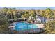 Inviting community pool area with lounge chairs, picnic tables, and mature palm trees at 10623 Pearl Berry Loop, Land O Lakes, FL 34638