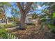 Inviting single-Gathering home featuring a well-manicured lawn, a picket fence, and mature shade trees at 1205 13Th N St, St Petersburg, FL 33705