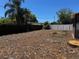 The large, unfenced backyard is partially shaded with grass beginning to grow at 1368 Noell Blvd, Palm Harbor, FL 34683