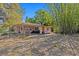 View of home and large backyard with bamboo trees and partial fencing at 164 Nw Lincoln N Cir, St Petersburg, FL 33702