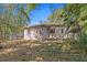 View of home and backyard with bamboo trees at 164 Nw Lincoln N Cir, St Petersburg, FL 33702