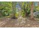 Trees and foliage surround a small structure in this backyard at 164 Nw Lincoln N Cir, St Petersburg, FL 33702