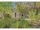 This backyard features a storage building surrounded by abundant foliage at 164 Nw Lincoln N Cir, St Petersburg, FL 33702