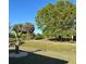 Landscaped backyard adjacent to open community green space at 2021 E Del Webb Blvd, Sun City Center, FL 33573