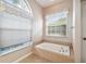 Bathroom showcasing a soaking tub with tile surround, and two windows, one arched, for natural light at 23523 Gracewood Cir, Land O Lakes, FL 34639