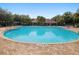 Large community pool surrounded by trees, lounge chairs, and palm trees at 248 Argyll Dr, Spring Hill, FL 34609