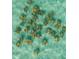 Top-down view of a group of Stingrays swimming in the ocean at 3006 Christophers Watch Ln, Ruskin, FL 33570