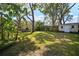 Expansive backyard featuring lush green grass, mature trees, and a shed, perfect for outdoor activities at 3617 Horatio St, Tampa, FL 33609