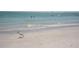 Scenic beach view with clear ocean water and an ibis walking along the shore at 514 Brandon Ave, Clearwater, FL 33765