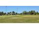 Expansive green field used as a golf driving range at the community at 514 Brandon Ave, Clearwater, FL 33765