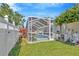 Wide angle of the backyard with screened pool, white fence, and tree at 703 June Lake Ln, Brandon, FL 33510
