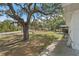 Large backyard featuring mature shade tree, spacious lawn, covered area with grill, and home exterior at 7143 Sealawn Dr, Spring Hill, FL 34606