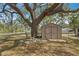 View of outdoor storage shed at 7143 Sealawn Dr, Spring Hill, FL 34606