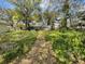 View of the backyard of the home with trees and a path to the back of the lot at 8405 N Willow Ave, Tampa, FL 33604