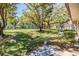 Expansive backyard with lush green grass, mature trees, tennis court and outdoor seating area at 1159 Montrose Pl, Dunedin, FL 34698