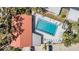 Aerial view of the community pool with lounge chairs and well-maintained landscaping at 1159 Montrose Pl, Dunedin, FL 34698