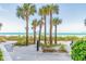 Gorgeous beach access path framed by palm trees offering views of the ocean at 1600 Gulf Blvd # 817, Clearwater Beach, FL 33767