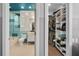 Bathroom and walk-in closet featuring a turquoise-themed bathroom with a glass door at 16211 Villarreal De Avila, Tampa, FL 33613