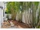 Secluded backyard featuring lush palm trees, providing a private and tranquil outdoor space at 224 S Audubon Ave, Tampa, FL 33609