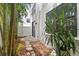 A secluded backyard with lush tropical plants and a private outdoor area at 224 S Audubon Ave, Tampa, FL 33609