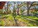 Spacious backyard featuring green grass, large trees, and a white fence at 3005 E Sligh Ave, Tampa, FL 33610