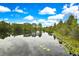 Tranquil lake scene with lily pads and a clear reflection of the sky and trees on the water's surface at 3033 Marble Crest Dr, Land O Lakes, FL 34638