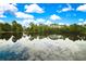 Still waters of a scenic lake reflecting the sky and surrounding trees, creating a serene and natural landscape at 3033 Marble Crest Dr, Land O Lakes, FL 34638