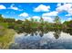 Picturesque view of a calm lake with lily pads, reflecting the clear sky and surrounding lush trees at 3033 Marble Crest Dr, Land O Lakes, FL 34638