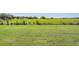Green meadow with clear sky, offers plenty of outdoor space at 30903 Quail Caper Cir, San Antonio, FL 33576