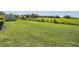 Expansive green backyard offering plenty of space for outdoor activities at 30903 Quail Caper Cir, San Antonio, FL 33576