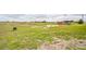 Large backyard with lush green grass, sheds, and ample storage at 7735 Wauchula Rd, Myakka City, FL 34251