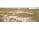 View of a pond surrounded by grass in an open lot at 7735 Wauchula Rd, Myakka City, FL 34251