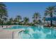 Large community pool area features sun loungers, palm trees, and a water slide for resort style living at 824 Islebay Dr, Apollo Beach, FL 33572