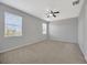 Neutral-toned bedroom with carpeted floor, ceiling fan, and plenty of natural light from multiple windows at 8714 Sandy Plains Dr, Riverview, FL 33578