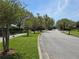 A quiet residential street is lined with mature trees and manicured lawns showcasing the community's curb appeal at 1227 Big Creek Dr, Wesley Chapel, FL 33544