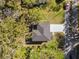 An overhead shot showing the house from above, surrounded by mature shade trees at 16417 Lake Byrd Dr, Tampa, FL 33618
