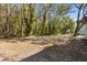 Large lot with mature trees at 16417 Lake Byrd Dr, Tampa, FL 33618