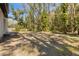 Spacious backyard with mature trees at 16417 Lake Byrd Dr, Tampa, FL 33618