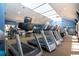 State-of-the-art fitness center featuring modern equipment, skylights, and mirrored walls at 221 Shell Falls Dr, Apollo Beach, FL 33572