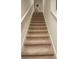 Carpeted staircase with white railings, leading to the upper level of the home at 3267 Pleasant Willow Ct, Brandon, FL 33511