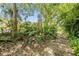 Landscaped walking path surrounded by mature trees at 401 Apache Trl, Brandon, FL 33511