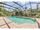 Sparkling pool within a screened enclosure, complemented by lush surroundings for added privacy at 401 Apache Trl, Brandon, FL 33511